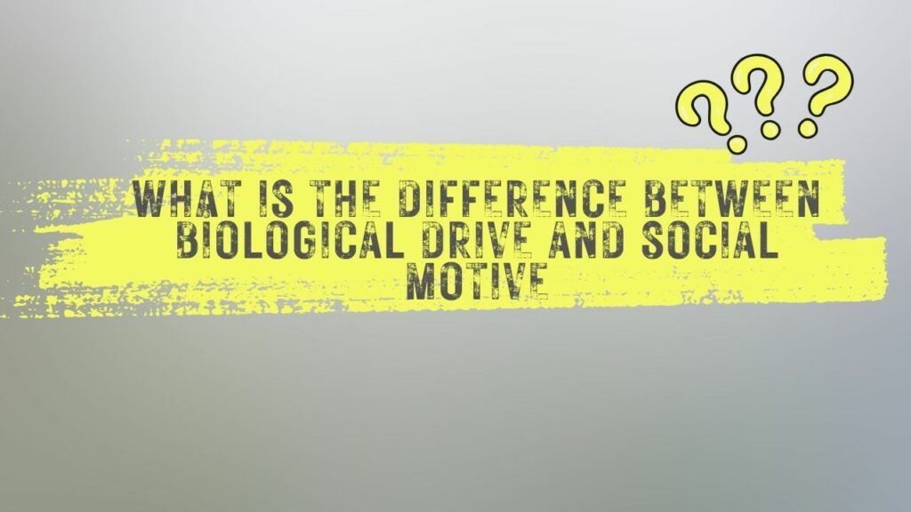 What is the difference between biological drive and social motive