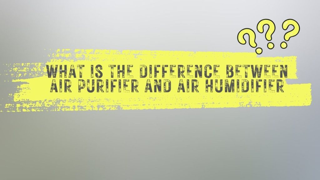 What is the difference between Air Purifier and Air Humidifier